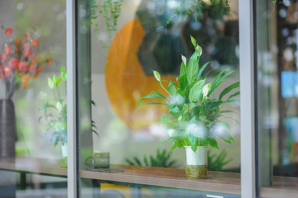 Briquet tempête au design moderne : fusion de l'esthétique et de la durabilité