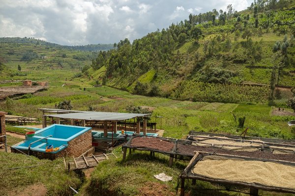 Comment développer un programme de recyclage des eaux grises pour les jardins communautaires ?