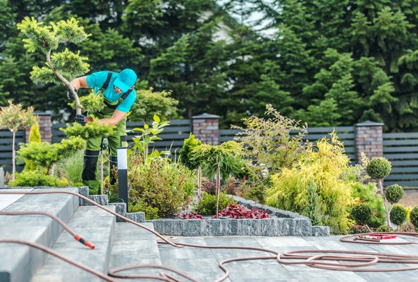 Jardinage écologique : astuces et tendances actuelles